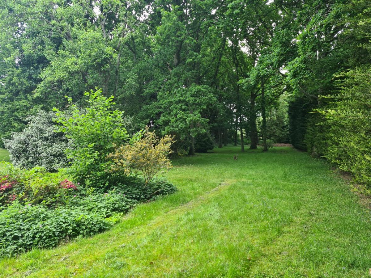 The Reading Whole Apartment With Private Lake And Gardens Dış mekan fotoğraf