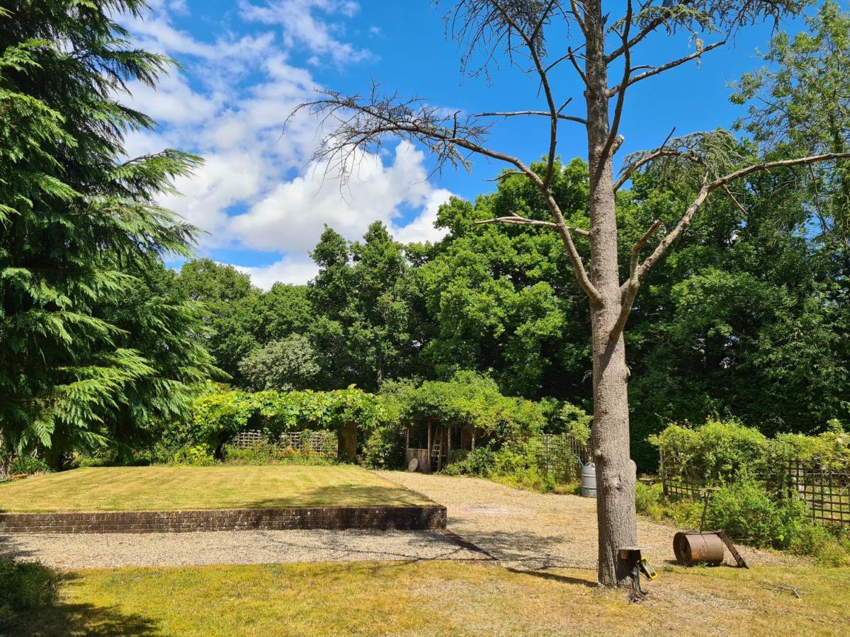 The Reading Whole Apartment With Private Lake And Gardens Dış mekan fotoğraf